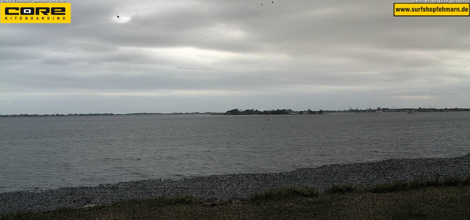 Camera Live Image